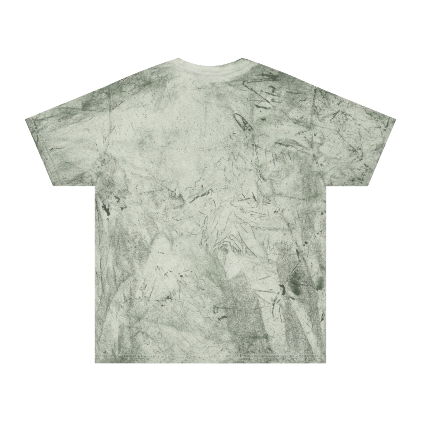 Inspirational Lion Graphic Unisex Color Blast T-Shirt