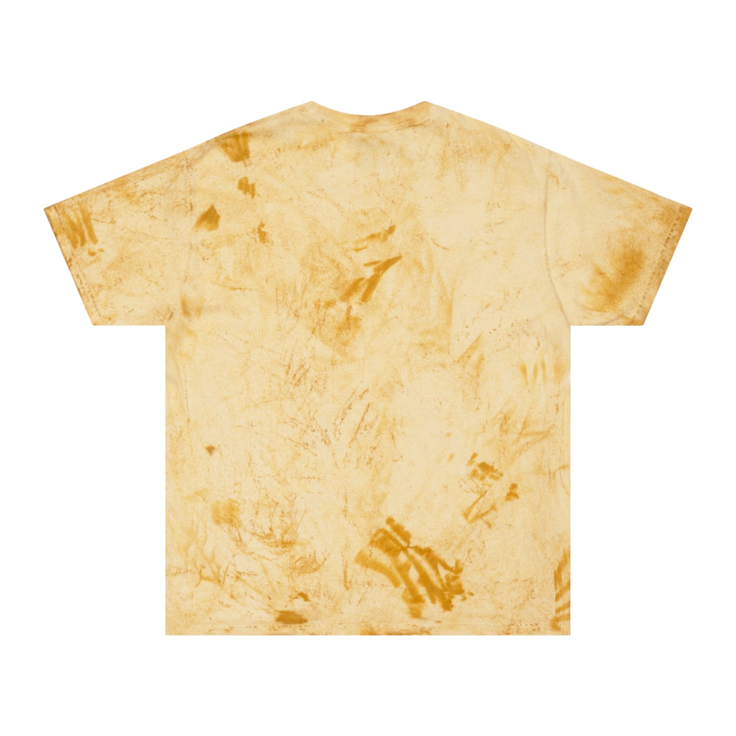 Inspirational Lion Graphic Unisex Color Blast T-Shirt