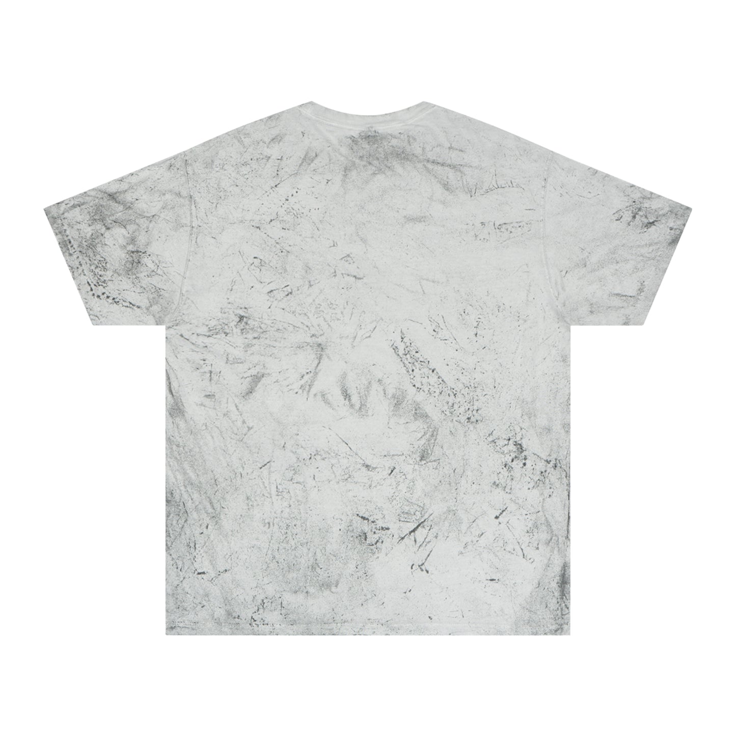 Inspirational Lion Graphic Unisex Color Blast T-Shirt